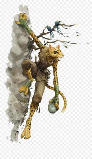 237-2377842 tabaxi-dnd-5e-png-download-tabaxi-volos-guide.png