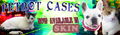 Thumbnail for version as of 01:36, 27 September 2021