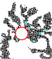 A map of the halls taken from the headquarters of the GlassBreakers