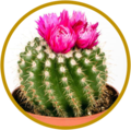 Thumbnail for version as of 01:36, 27 September 2021