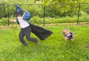 Dragon and wizard.png
