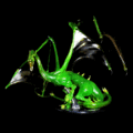 Durzibethinus