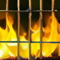 Thumbnail for version as of 15:55, 10 May 2024