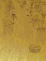 Thumbnail for version as of 01:36, 27 September 2021