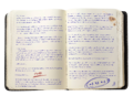 Thumbnail for version as of 06:42, 7 February 2025