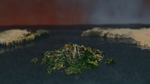 KistonArtsyPhoto.png