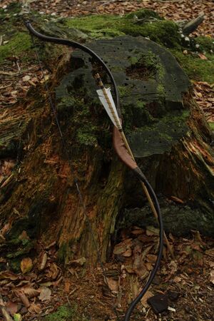 Longbow.jpg