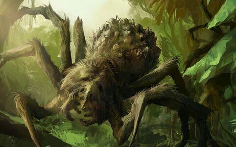 Swamp Spider